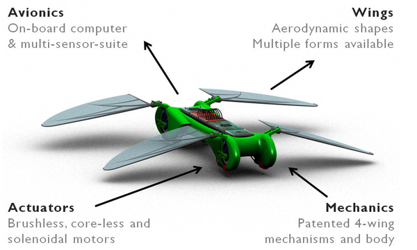 Robot Dragonfly