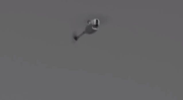 Black Hornet PD-100 in flight