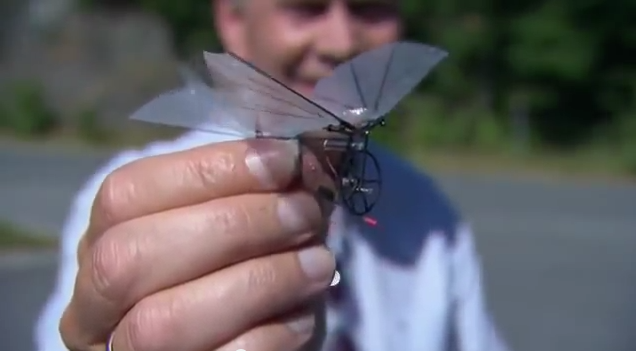 Petter Murren and an early prototype, insect looking small flying machine